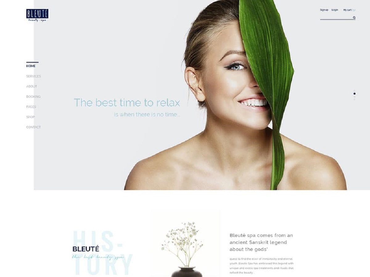 Bleute - WordPress theme Beauty