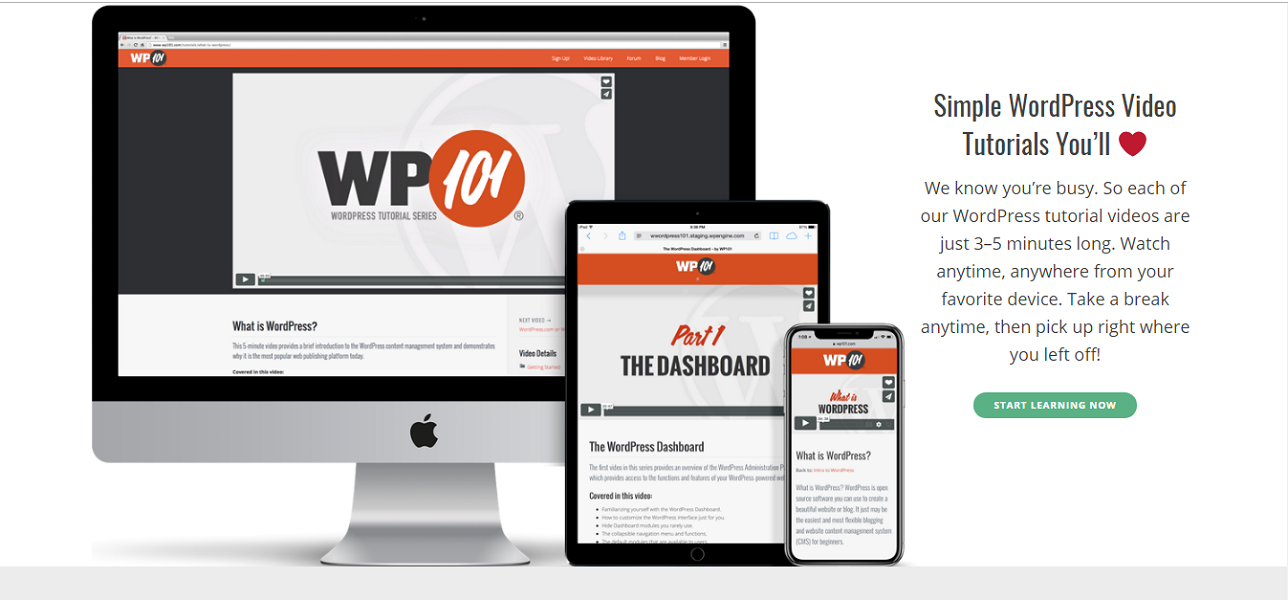 WP 101 WP 101