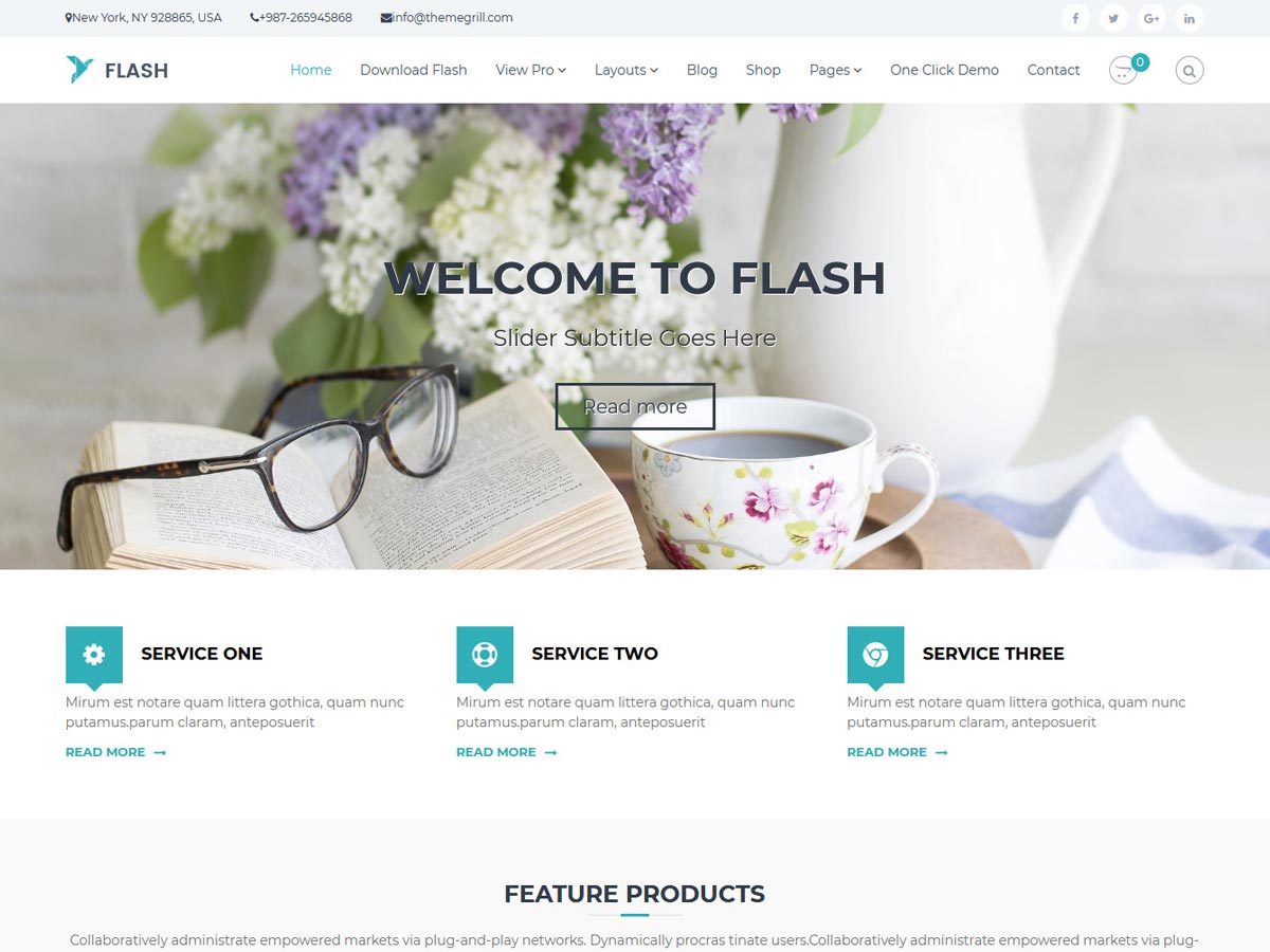 Flash Pro theme Flash Pro theme