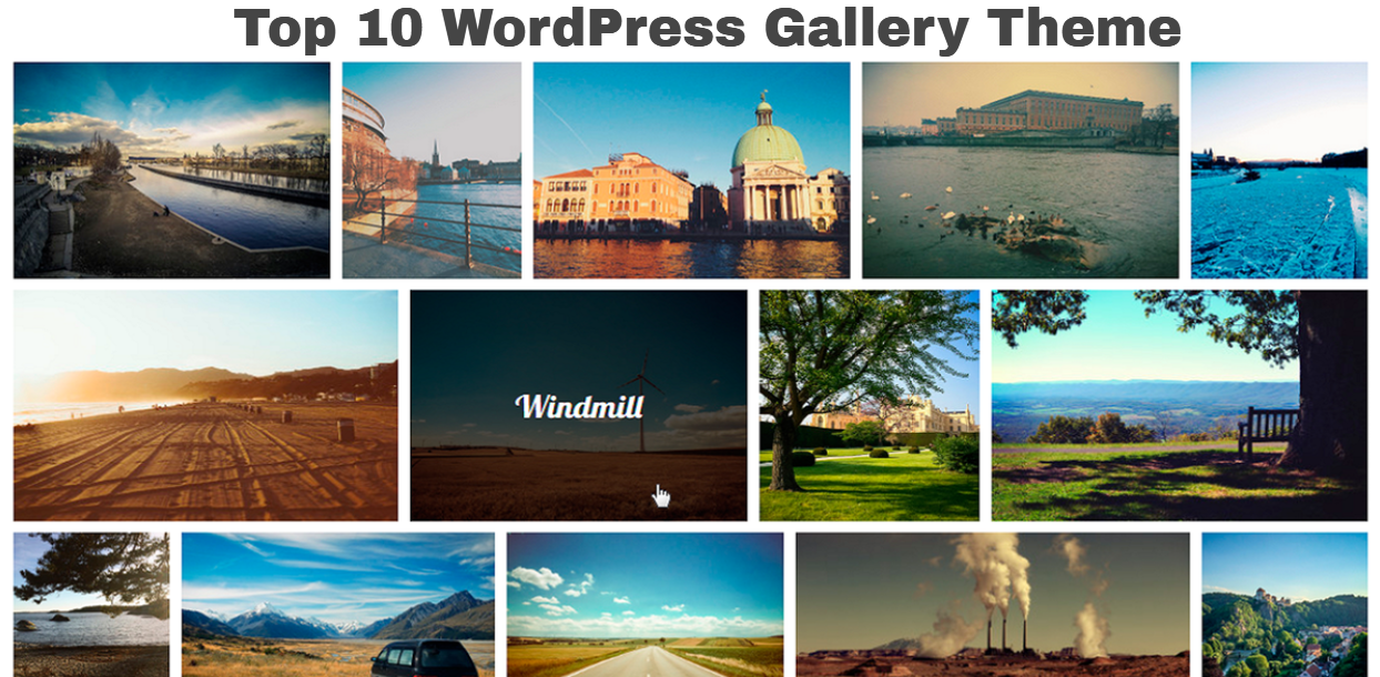 Top 10 WordPress Gallery Theme 