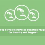 WordPress Donation Plugin