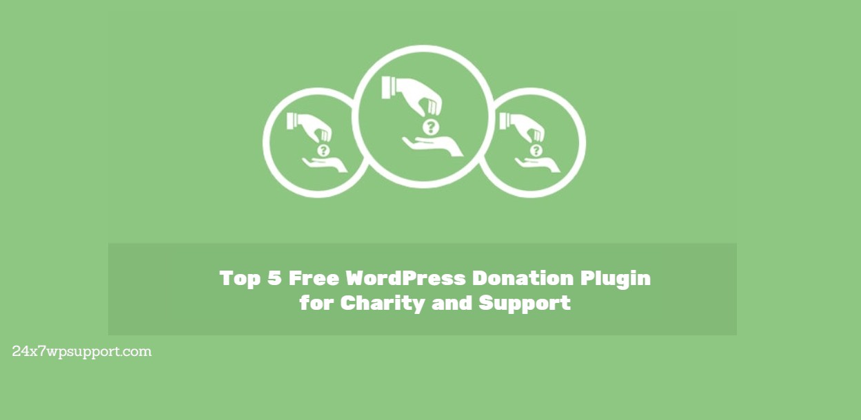 WordPress Donation Plugin 