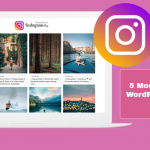 Rich WordPress Instagram Plugins