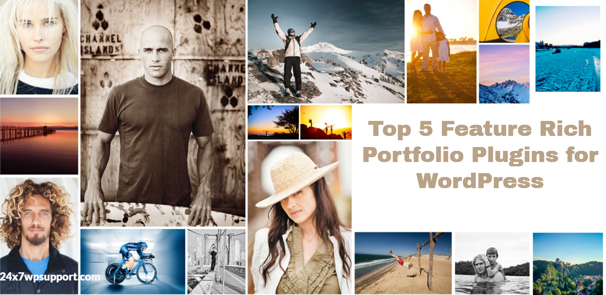 Portfolio Plugins