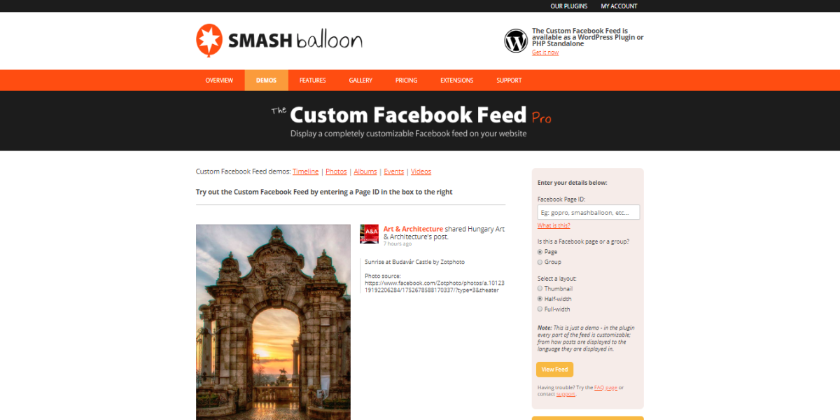 screenshot-smashballoondemo.com-2019.02.16-00-56-49