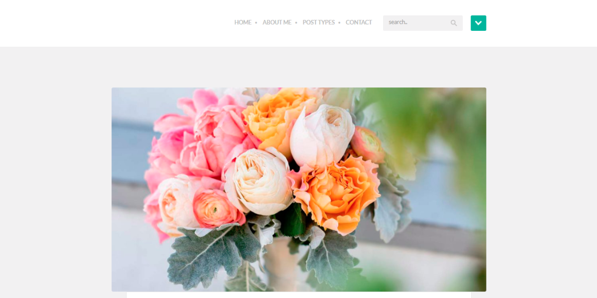 screenshot-wpthemebooster.com-2019.02.14-01-32-47