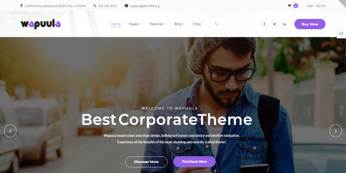 screenshot-www.templatemonster.com-2019.03.01-02-35-55 Wapuula