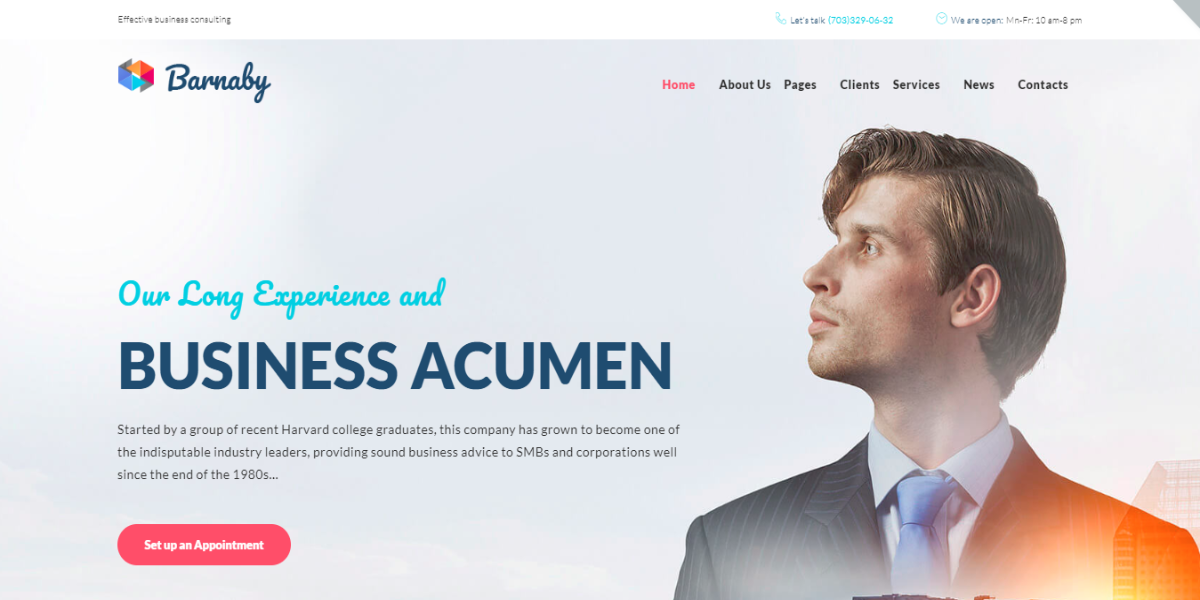 screenshot-www.templatemonster.com-2019.03.01-02-38-32 Barnaby