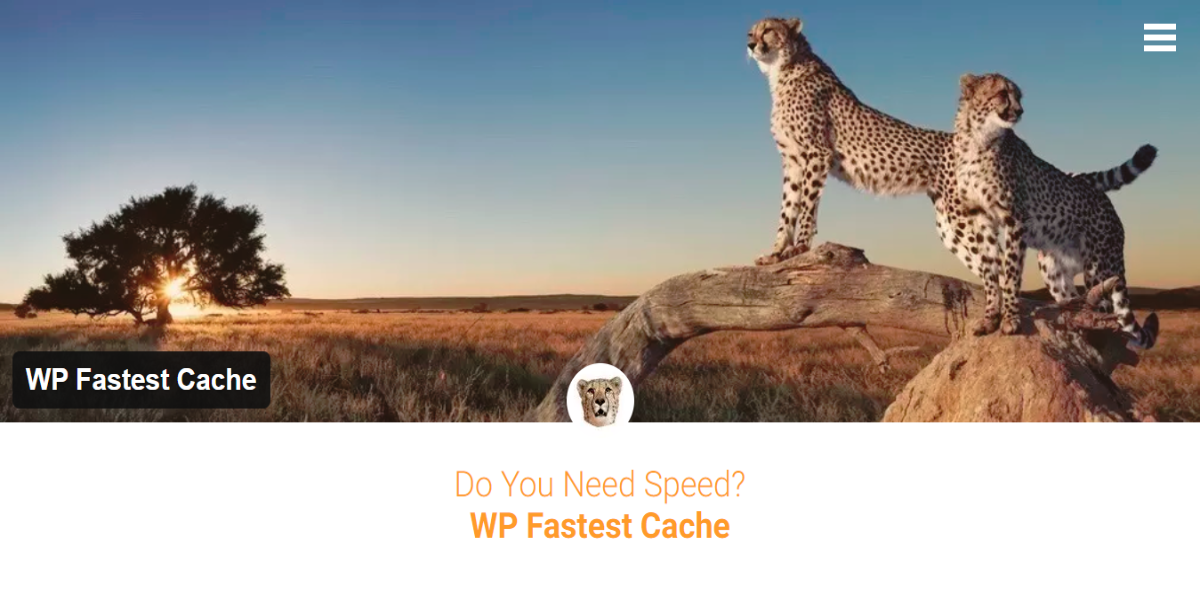 screenshot-www.wpfastestcache.com-2019.02.27-00-43-23