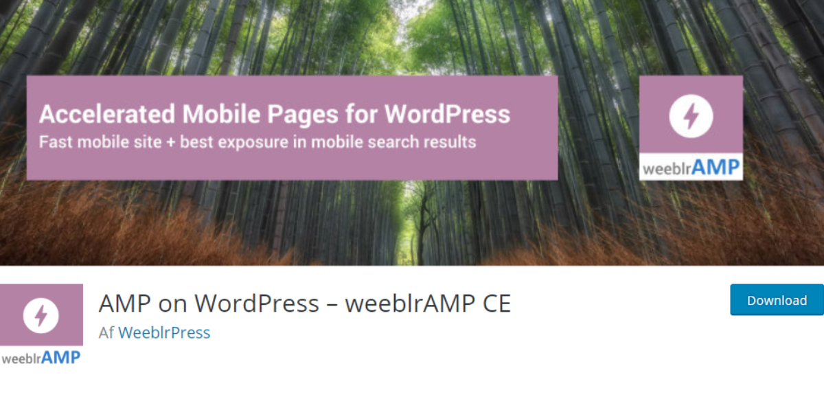 AMP on WordPress AMP on WordPress
