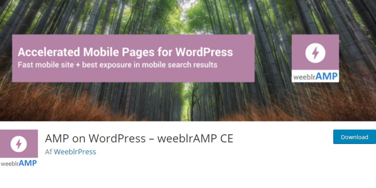 AMP on WordPress