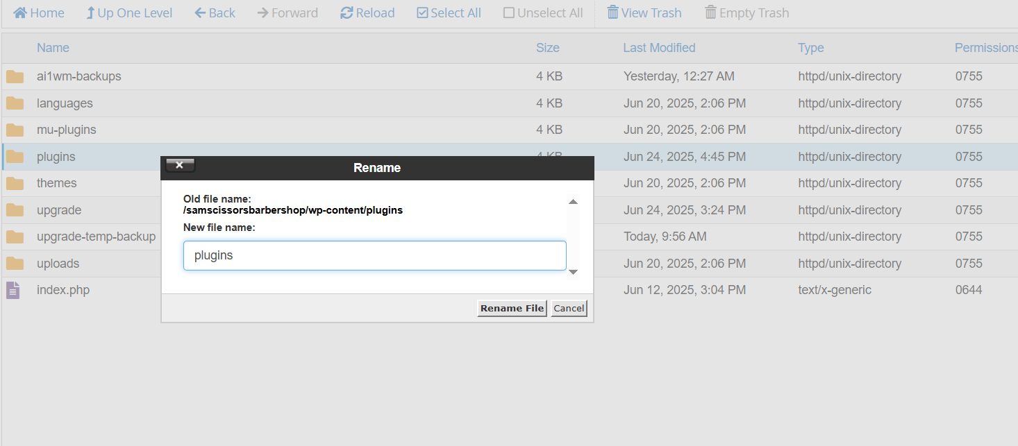 cPanel-File-..