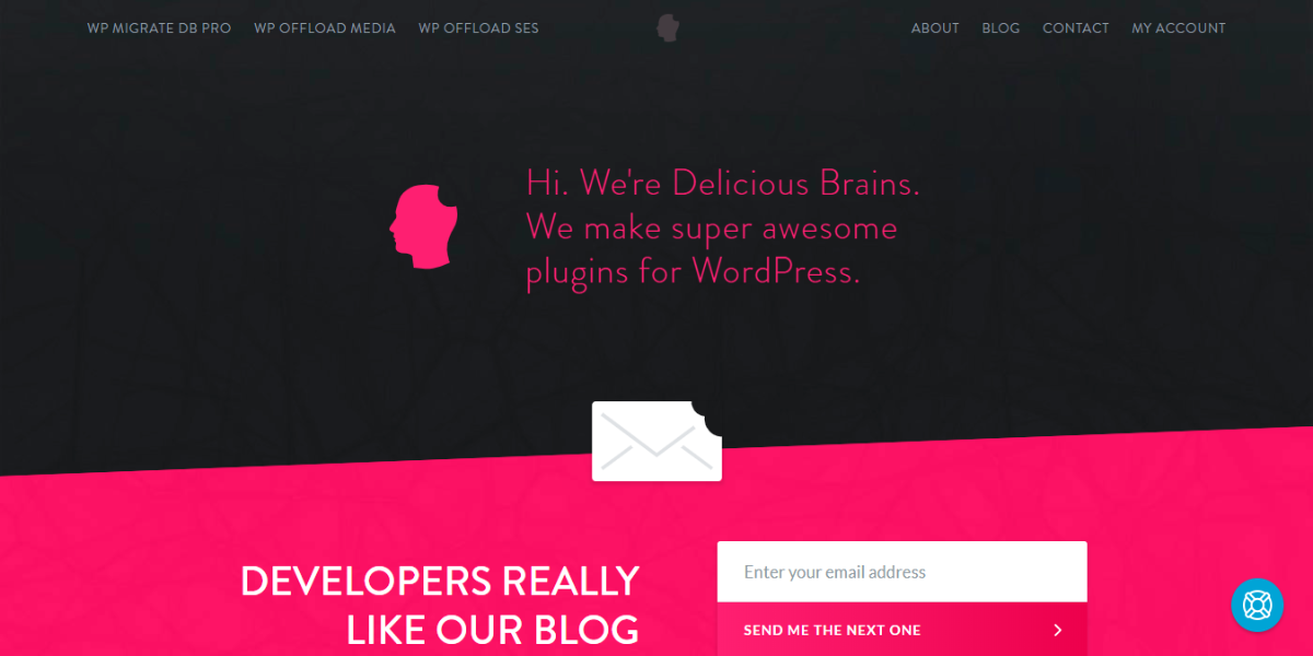 screenshot-deliciousbrains.com-2019.03.04-22-39-14