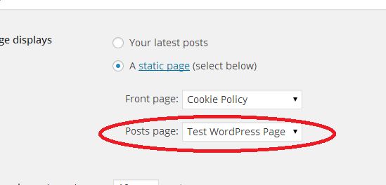Blog page static page Blog page static page