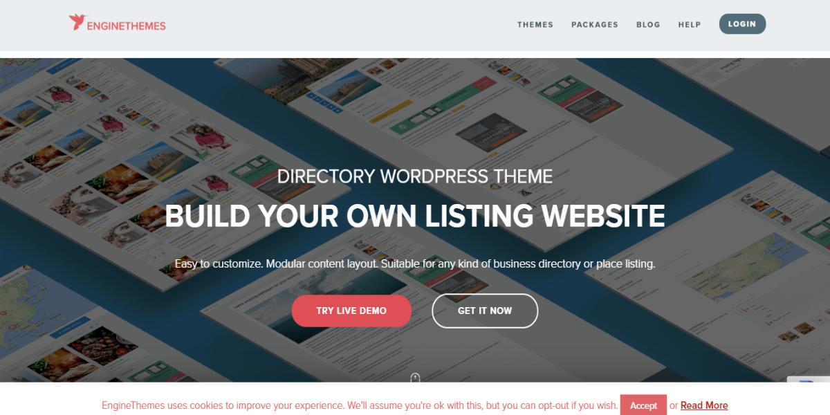 DirectoryEngine Directory Engine