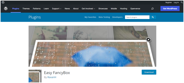 EasyFancy EasyFancy