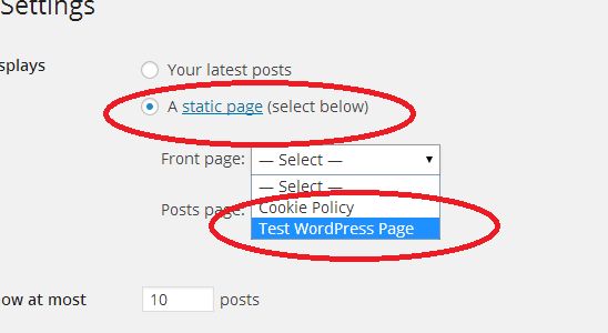 Home page static setting