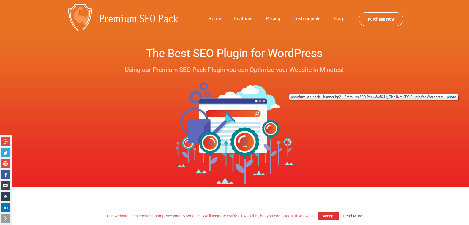 Premium SEO Pack