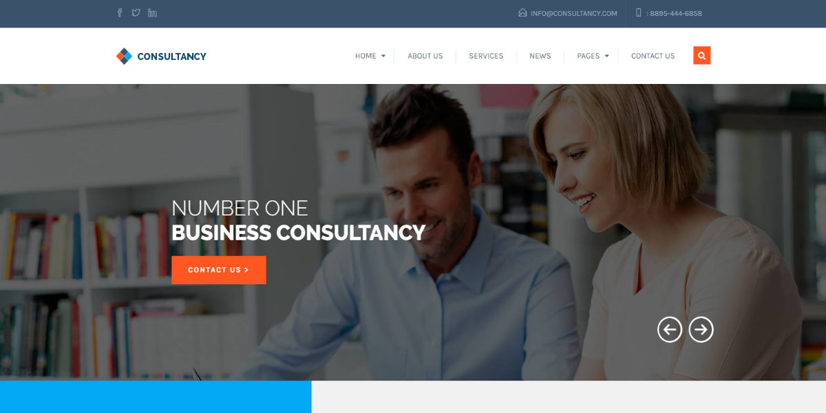 screenshot-demo.themeamber.com-2019.04.24-02-43-15 Consultancy