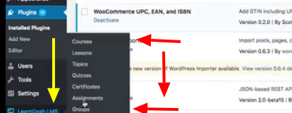 How To Setup LearnDash Plugins