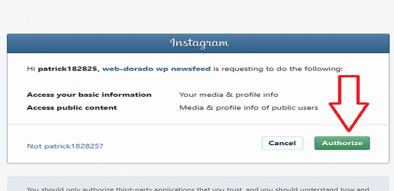 Instagram Widget by WPZOOM Authorize Settings