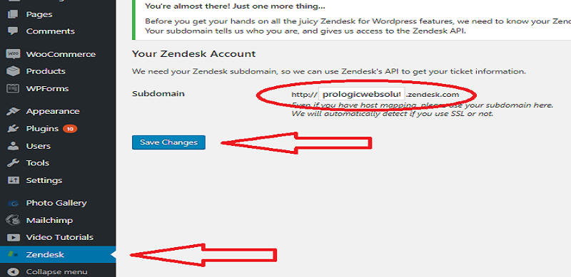 Setup Zendesk