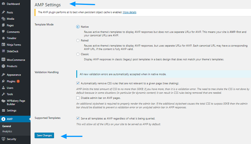 AMP Plugin Settings