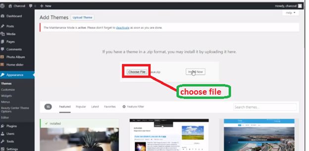 Choose File Choose File