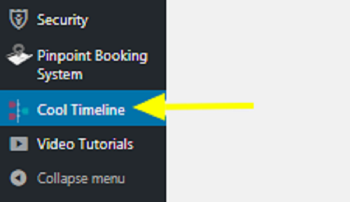 Cool Timeline Pro Plugin Settings