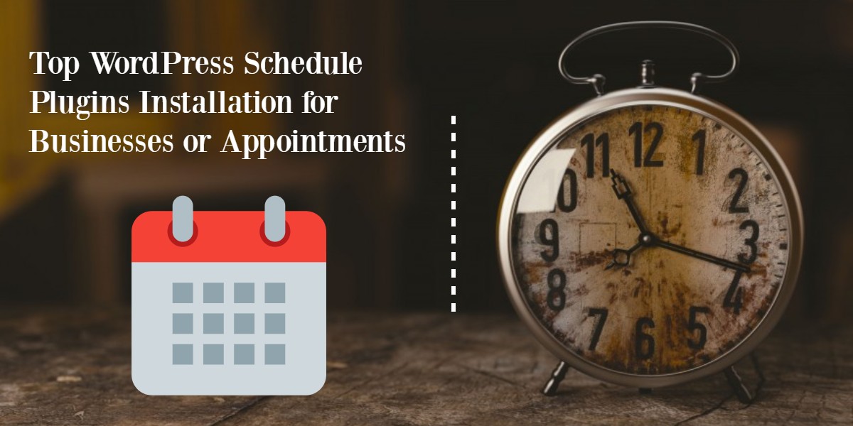 WordPress Schedule Plugins Installation
