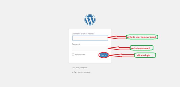 WP Admin WP Admin