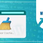 Wordpress cache