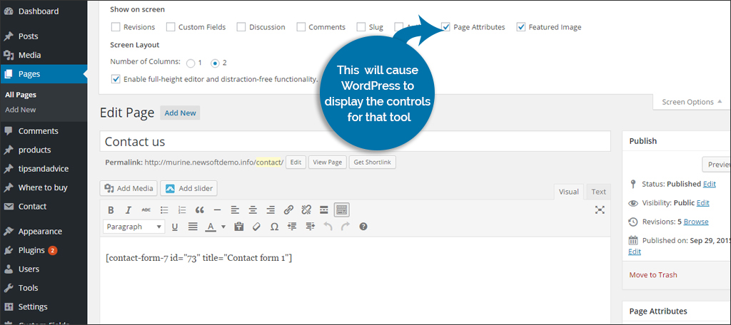 Page Ascribes setting enables