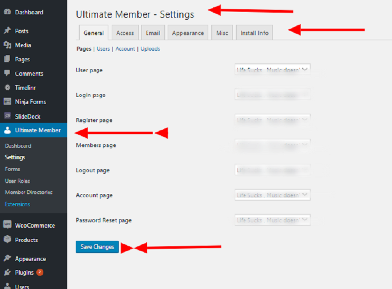 Ultimate Member Plugin Setup