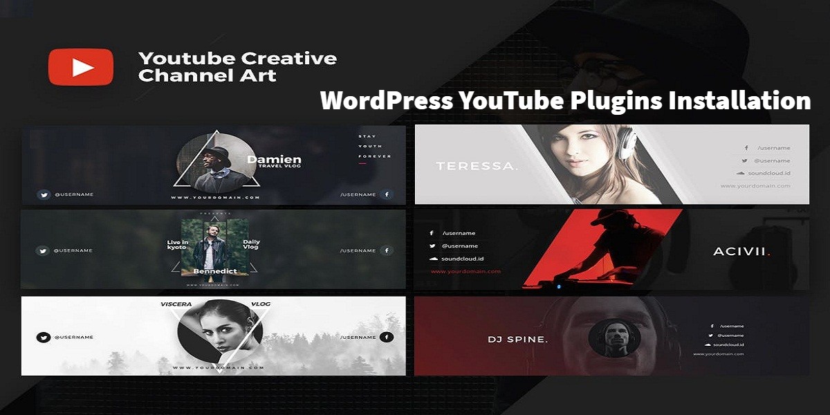 WordPress YouTube Plugins Installation 