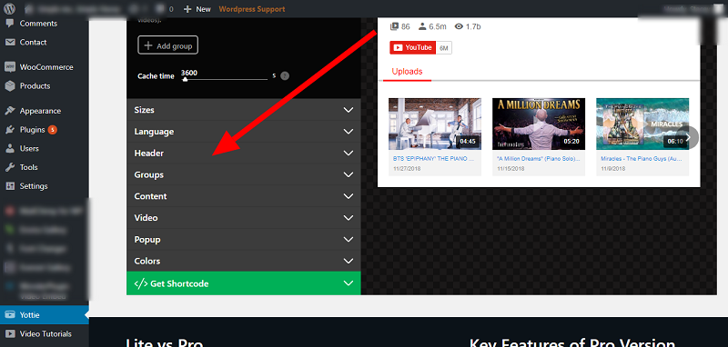 Yottie Plugin Settings