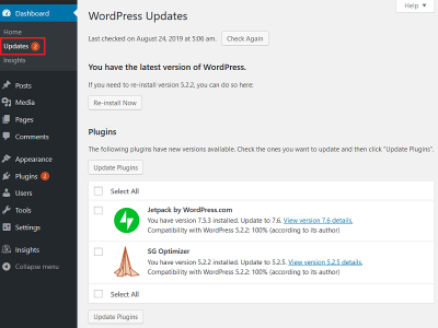 Everything You Need To Know About WordPress Security
