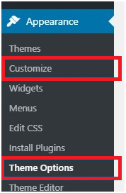 Theme Option