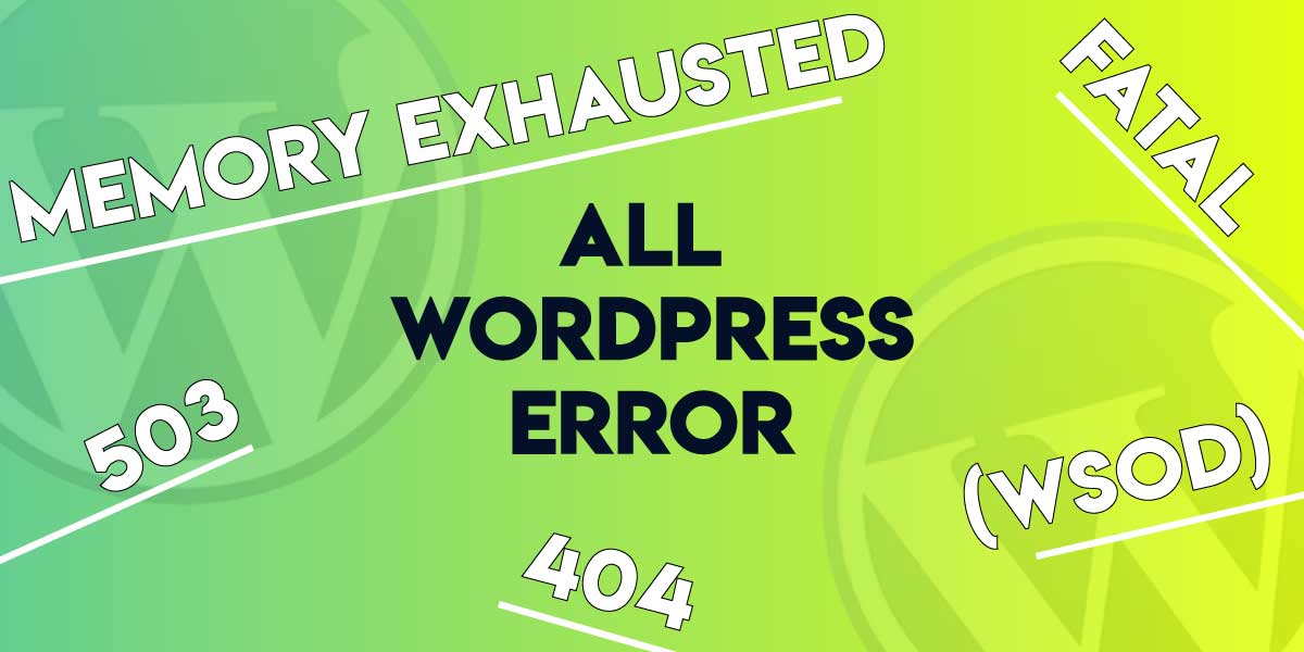 All WordPress Errors 
