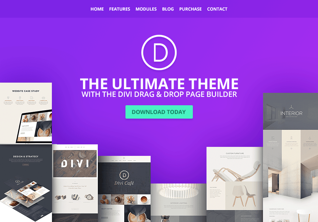 DIvi wordpress theme Divi theme