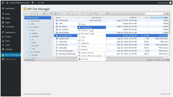 WP File manager