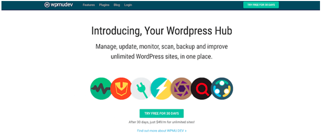Wpmudev Wpmudev