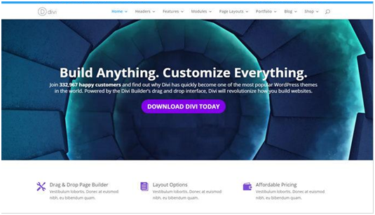 Divi theme builder