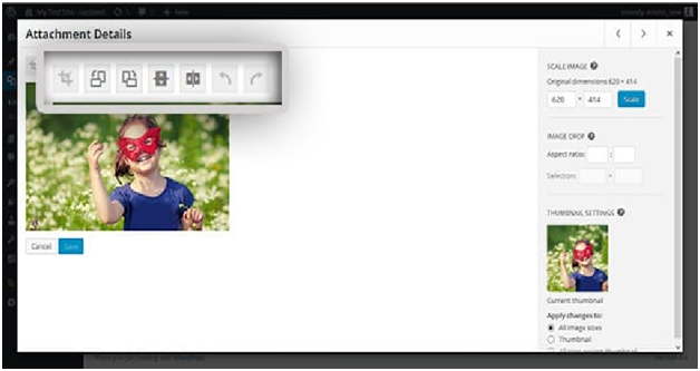 Edit Image in wordpress