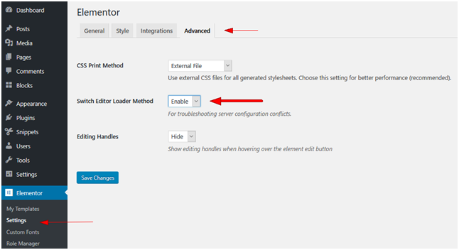 Elementor Settings Elementor Settings