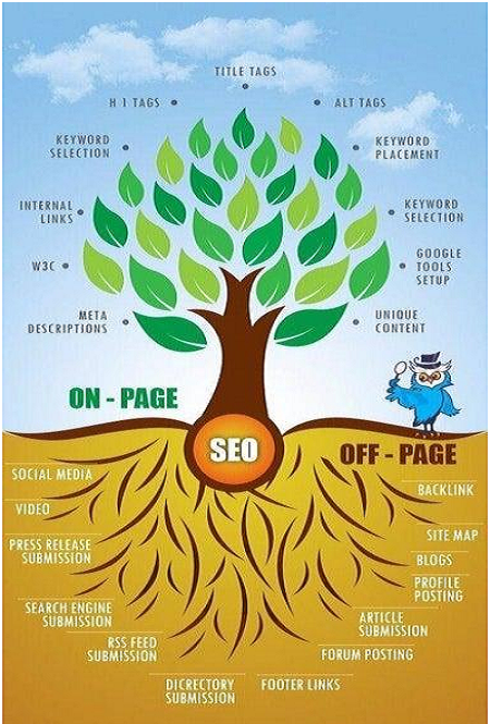 SEO Forum