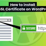 SSL Certificate on wordpress