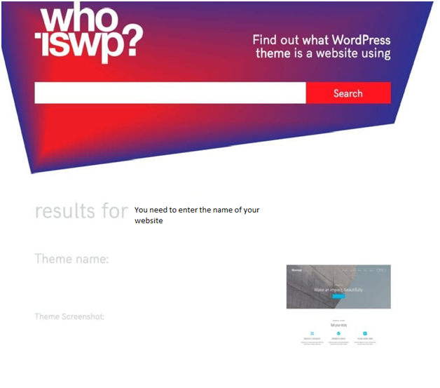 Wordpress theme and Plugin Detector