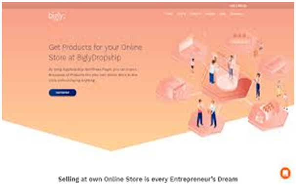 Bigly dropshipping plugins