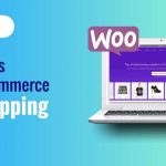 dropshipping plugins